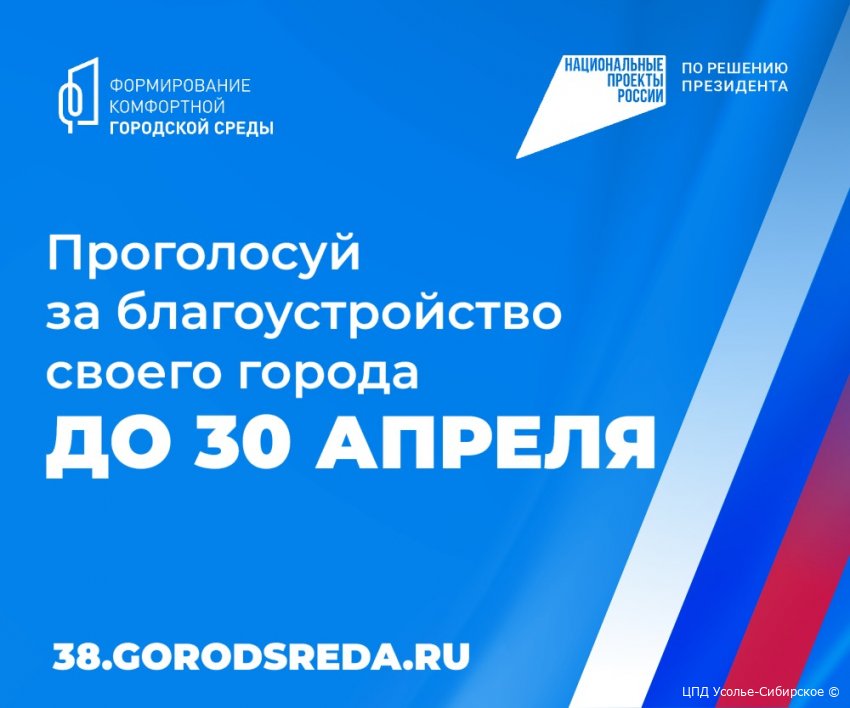 Проголосуй